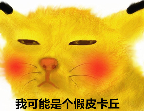 澎湃联播|我可能上了假车、买了假票、逛了假景点