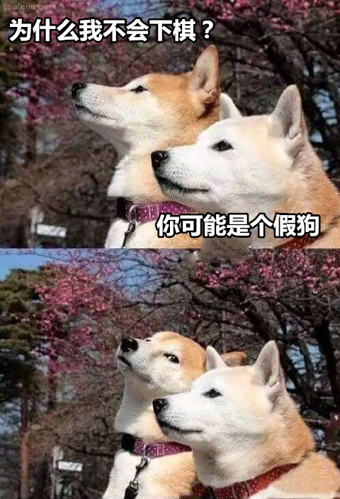 澎湃联播|我可能上了假车、买了假票、逛了假景点