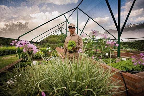 从农场到餐桌，新的一年里就要吃点好的