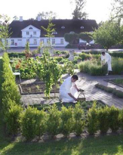 从农场到餐桌，新的一年里就要吃点好的