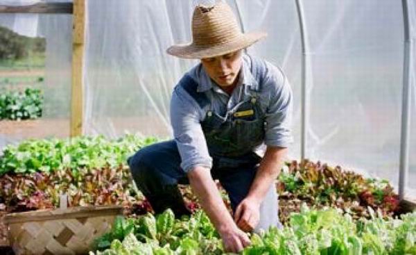 从农场到餐桌，新的一年里就要吃点好的