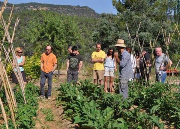 从农场到餐桌，新的一年里就要吃点好的
