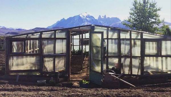 从农场到餐桌，新的一年里就要吃点好的