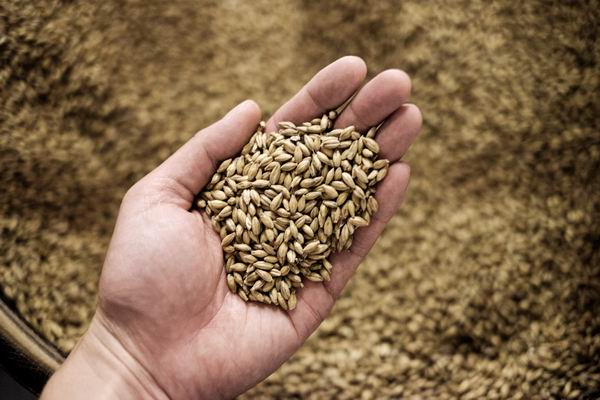 关于美国威士忌，这6件小事你必须知道