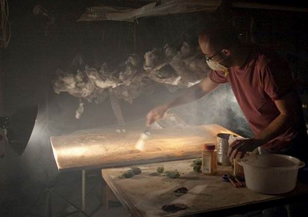 十组照片教会你怎么拍出效果非凡的佳作