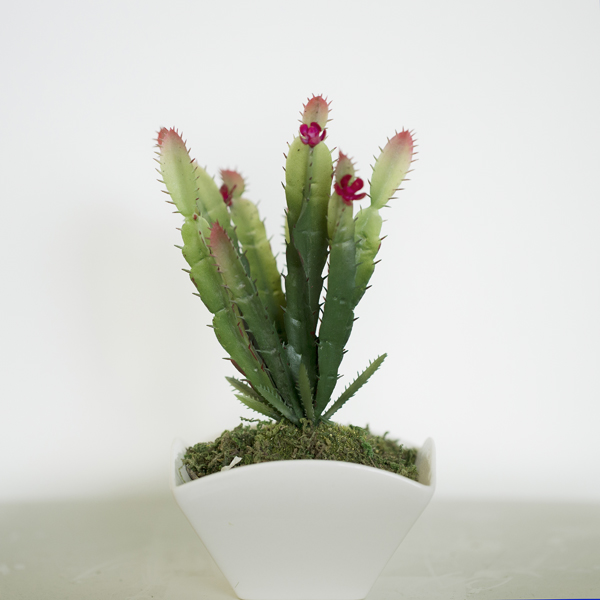 看展览｜聚焦海关摄影：独特语“境”，微观中国故事