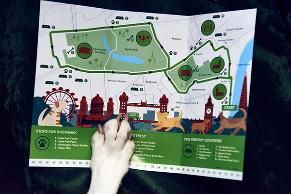 趣看｜腐国人民闲得慌，全球首创汪星专享观光巴士