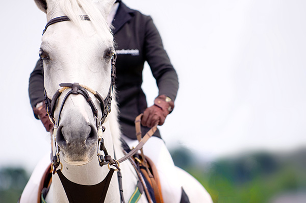 骑马容易摔伤腰？骨科专家：脚踝受伤可能性更大