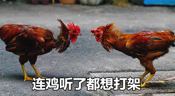 澎湃联播|“你们尽管集福，能分到五块钱，算我输！”