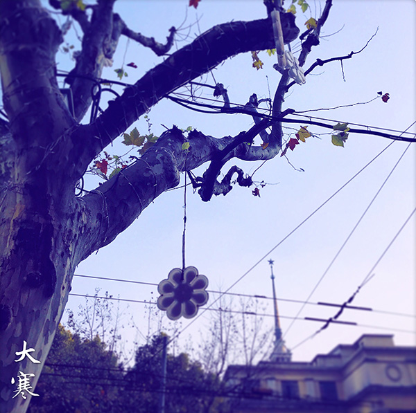 节气|大寒防感冒，冬补健脾胃