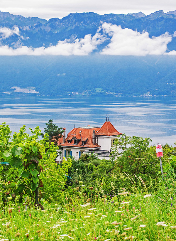 瑞士边喝边走，徒步享受阿尔卑斯壮美