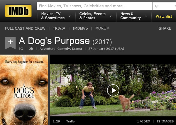 关于汪星人的电影却涉嫌虐狗，被打1分没商量