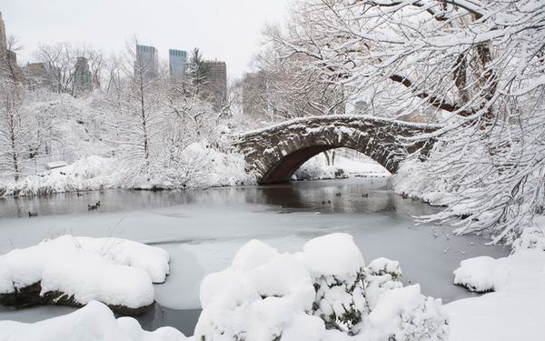 天冷不想动？不如去满世界踏雪啊