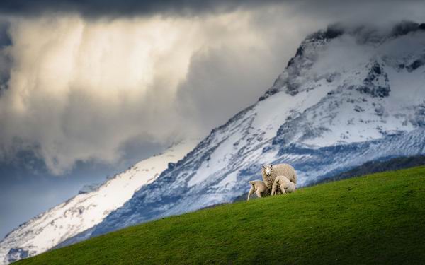 天冷不想动？不如去满世界踏雪啊