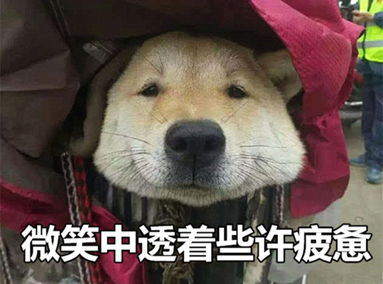 澎湃联播|狂妄的男孩，一般运气都不会太好