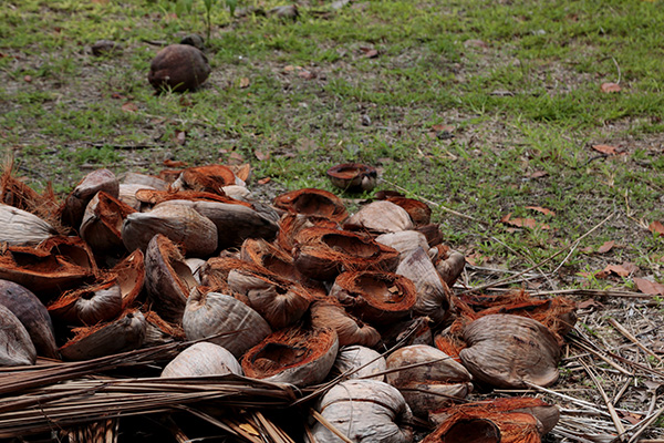 飞向太平洋之心，带你去看真实的波利尼西亚