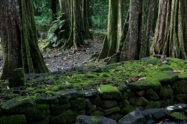 飞向太平洋之心，带你去看真实的波利尼西亚