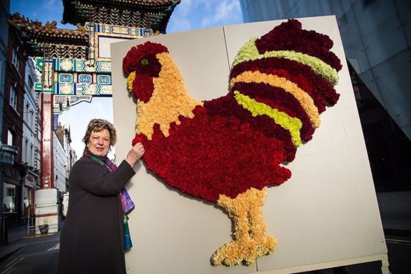 趣看｜全球化的新春：鸡鸡复鸡鸡，鸡鸡何其多