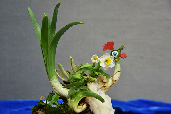 趣看｜全球化的新春：鸡鸡复鸡鸡，鸡鸡何其多