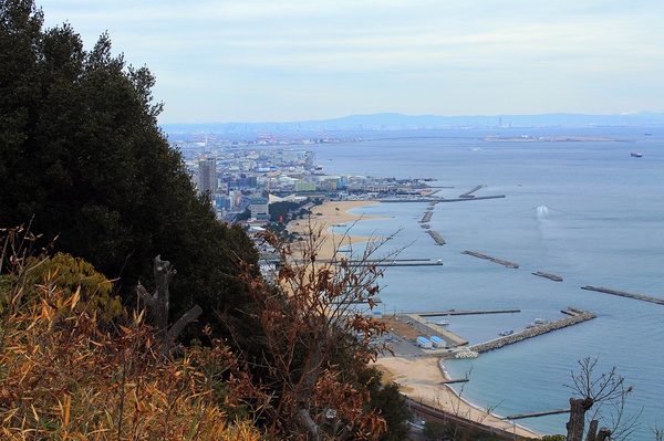 从一场对决看日本武士和“武士道”的真面目