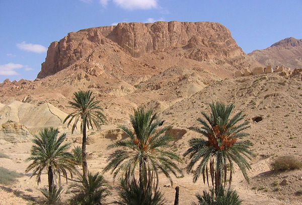 北非亚特拉斯山脉间，随“红蜥蜴”号列车远行
