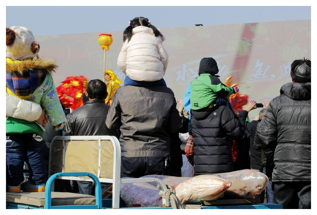 孩子们骑在大人们的肩膀上看精彩的表演