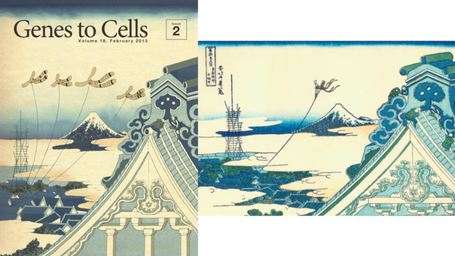 看到这些浮世绘，你会忘了这是本学术期刊