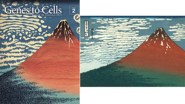 看到这些浮世绘，你会忘了这是本学术期刊