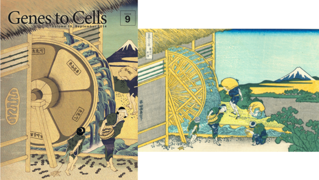 看到这些浮世绘，你会忘了这是本学术期刊