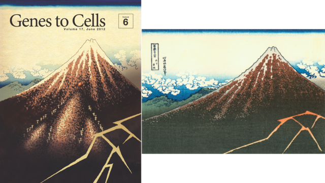 看到这些浮世绘，你会忘了这是本学术期刊