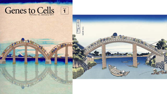 看到这些浮世绘，你会忘了这是本学术期刊