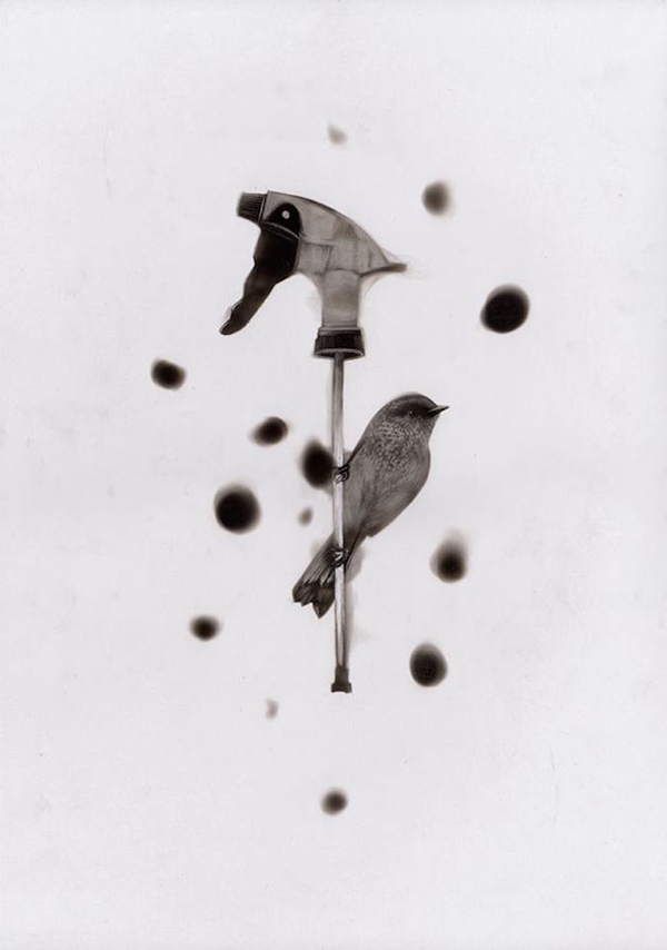 趣看｜用火焰烹制艺术，带着烟熏味的绘画作品