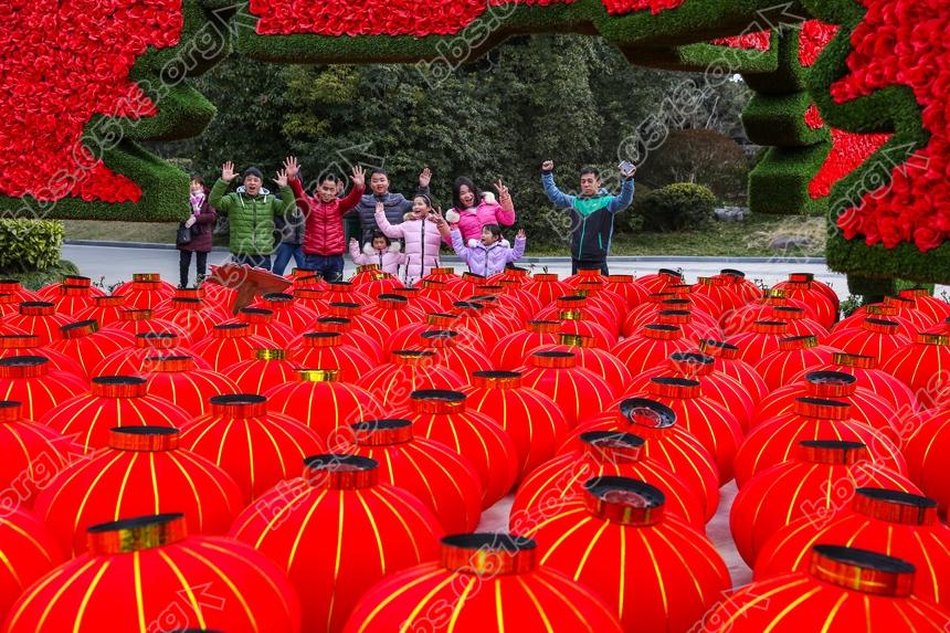 南通啬园寒风中的一抹春色。 (1).jpg