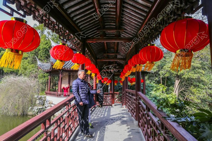 南通啬园寒风中的一抹春色。 (3).jpg