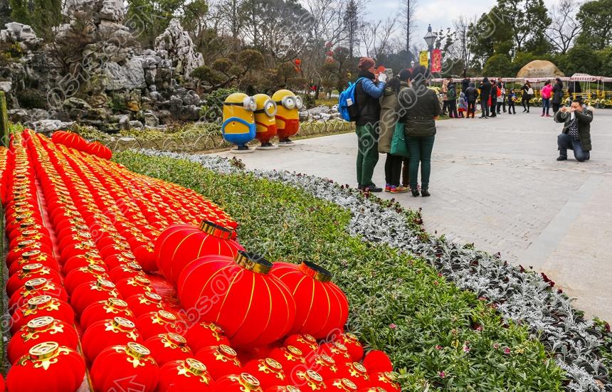 南通啬园寒风中的一抹春色。 (4).jpg