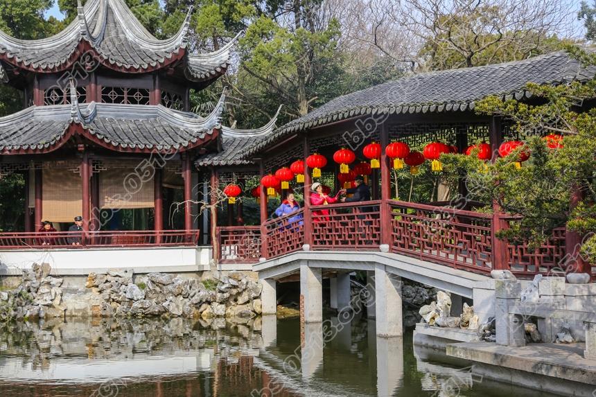 南通啬园寒风中的一抹春色。 (6).jpg