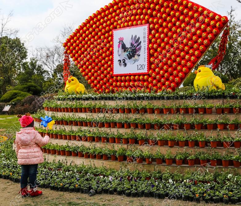 南通啬园寒风中的一抹春色。 (7).jpg