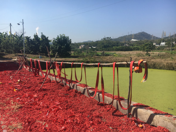 春节祭祖：泉州、伊犁、梅州、烟台的祭祖仪式