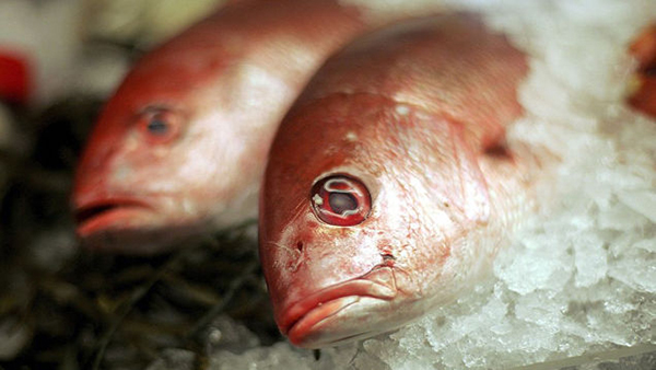 三十年内可能会吃到的七种未来食物