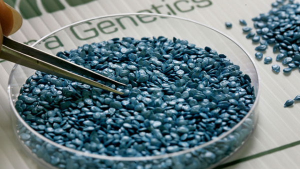 三十年内可能会吃到的七种未来食物