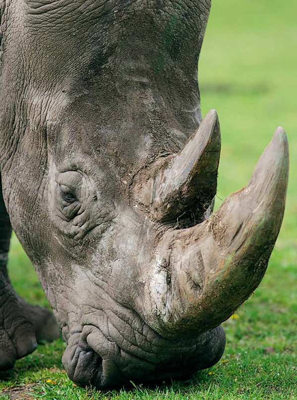 马拉维的奇迹之地