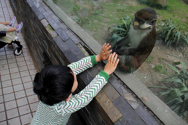 捍卫动物园：糟糕的动物园不少，但好的动物园让世界更美好