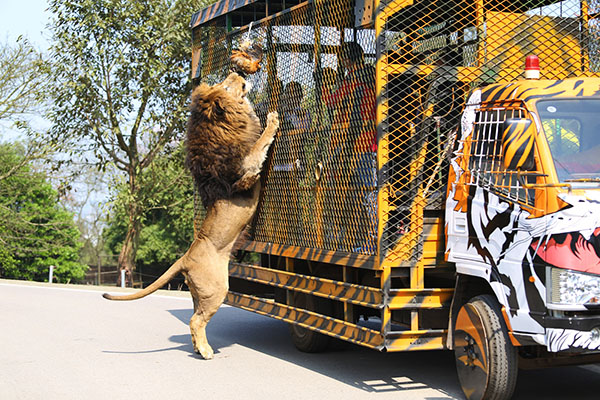 捍卫动物园：糟糕的动物园不少，但好的动物园让世界更美好