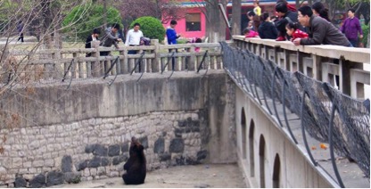 捍卫动物园：糟糕的动物园不少，但好的动物园让世界更美好