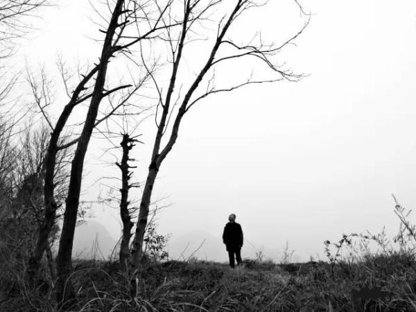 回乡偶忆｜柯小刚：最后的南山