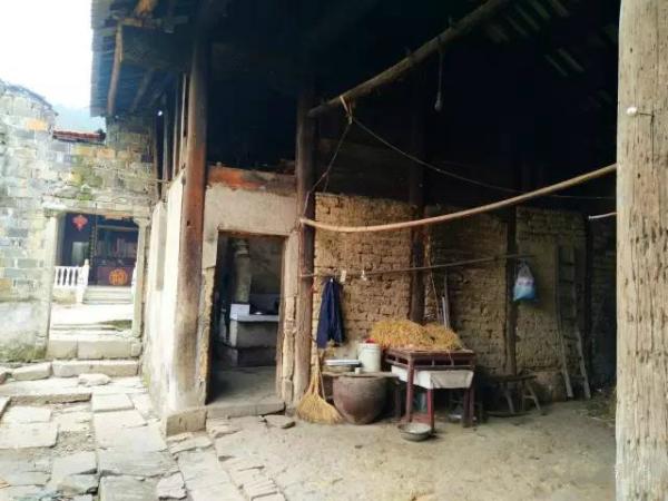 回乡偶忆｜柯小刚：最后的南山