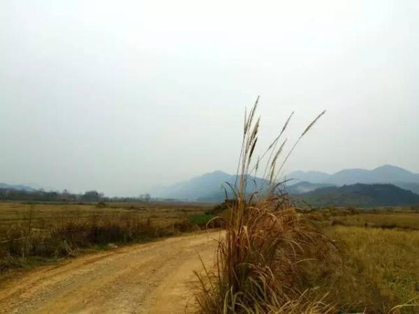 回乡偶忆｜柯小刚：最后的南山