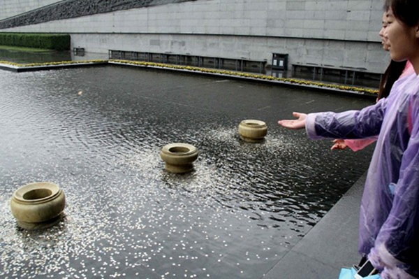 澎湃联播｜向鳄鱼扔钱和撕人家春联，哪个更傻？