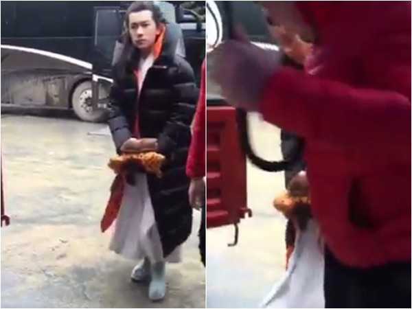 晚安｜放心了，大家爱的科科依然是单身獒