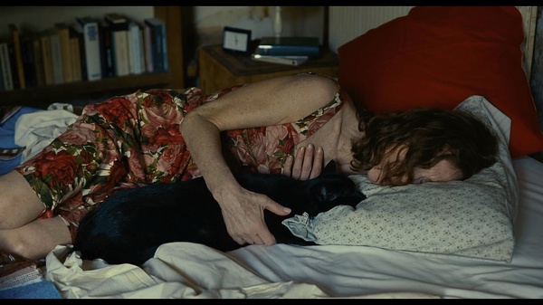 睡不着丨无立足境处，哲学能抵抗人生的丧失吗